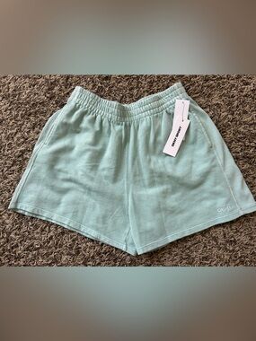 DKNY Light Mint Green Athletic Lounge Shorts